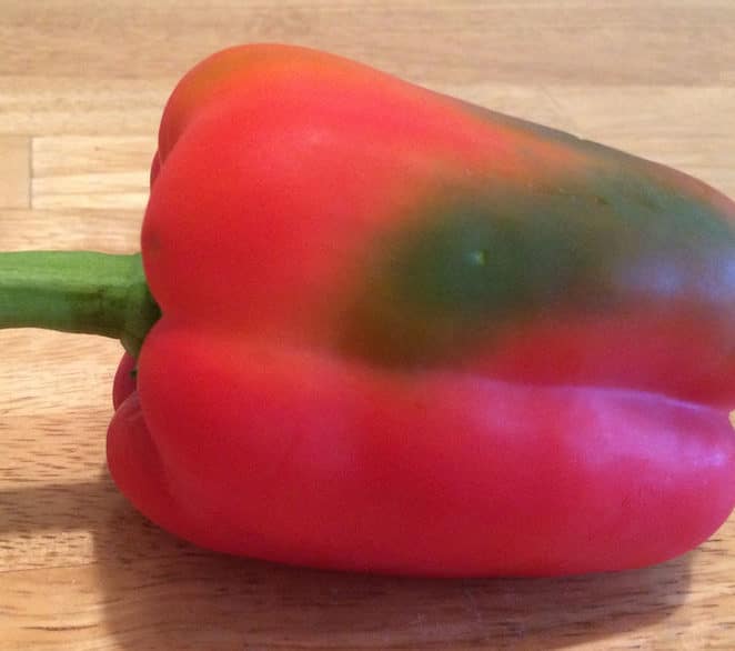 Does it matter if a pepper is part green and part red? Eat Or Toss