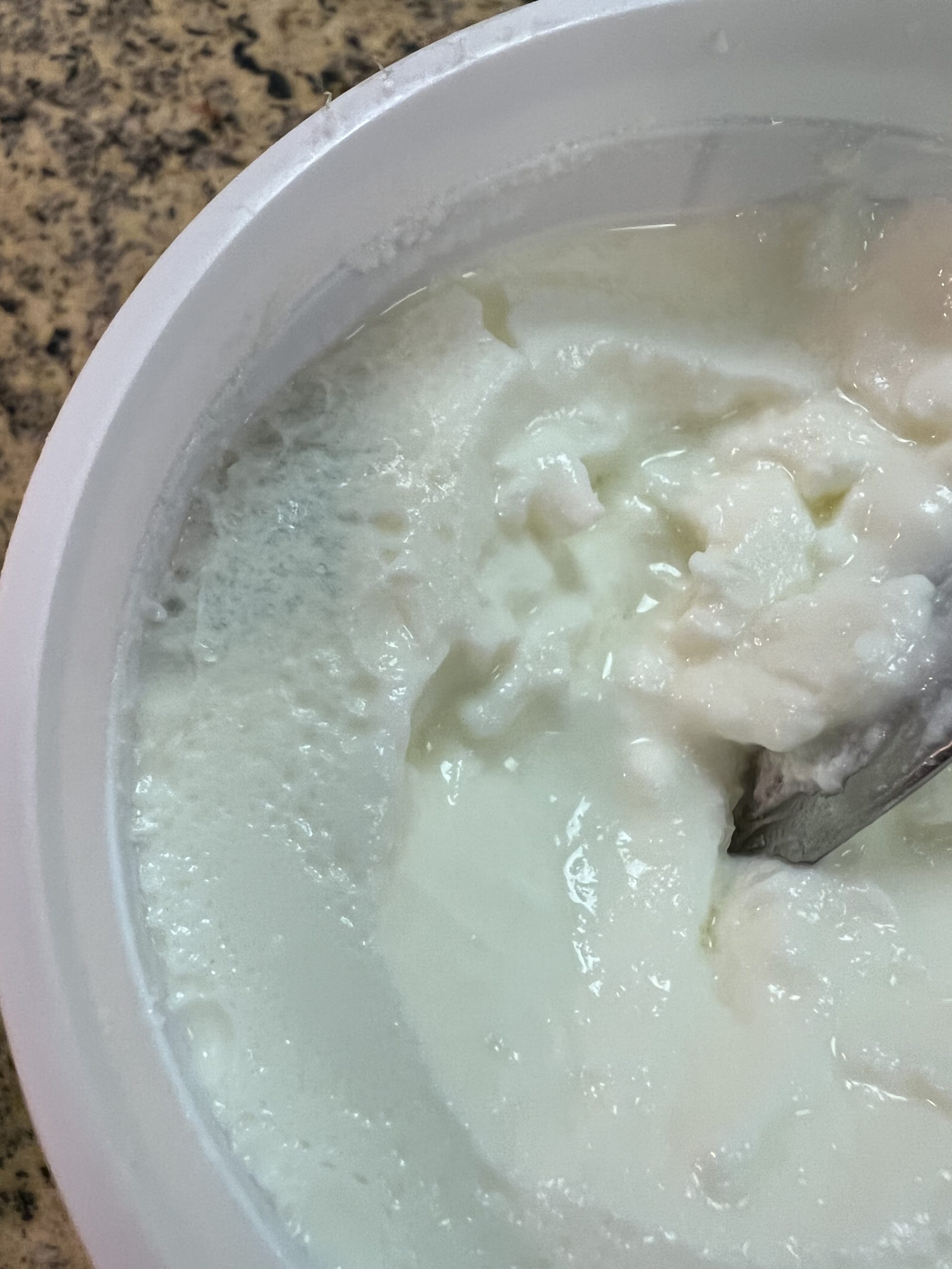 What does mold look like in yogurt?